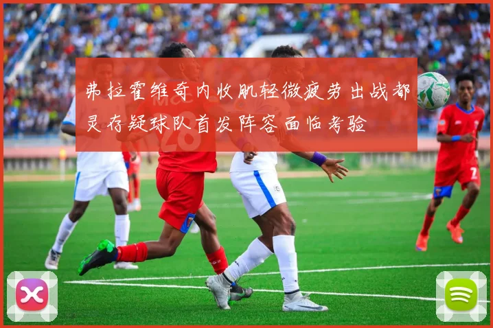 弗拉霍维奇内收肌轻微疲劳出战都灵存疑球队首发阵容面临考验