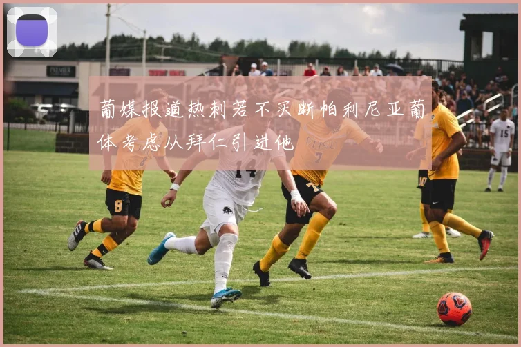 葡媒报道热刺若不买断帕利尼亚葡体考虑从拜仁引进他