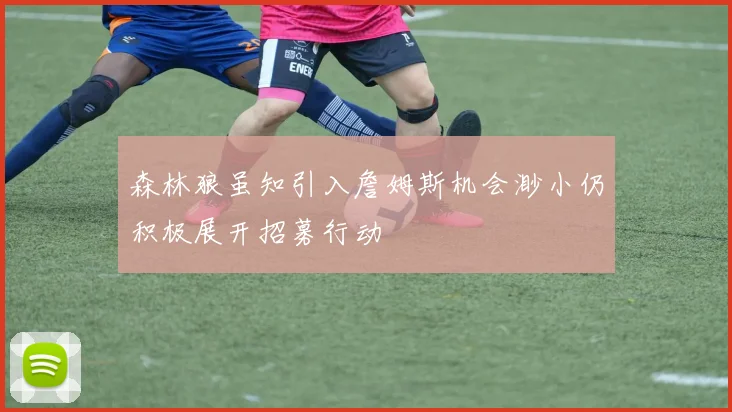 森林狼虽知引入詹姆斯机会渺小仍积极展开招募行动
